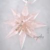 Star Christmas decoration made with precious ashes and Rose colour