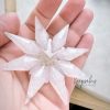 Star decoration created with precious ashes and Pearl colour