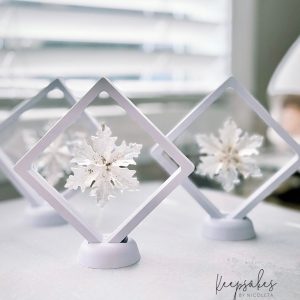 Snowflakes in frames
